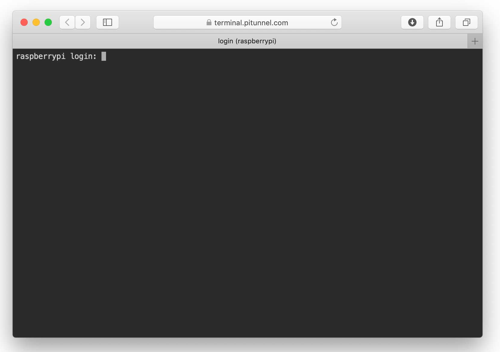 Remote Terminal PiTunnel