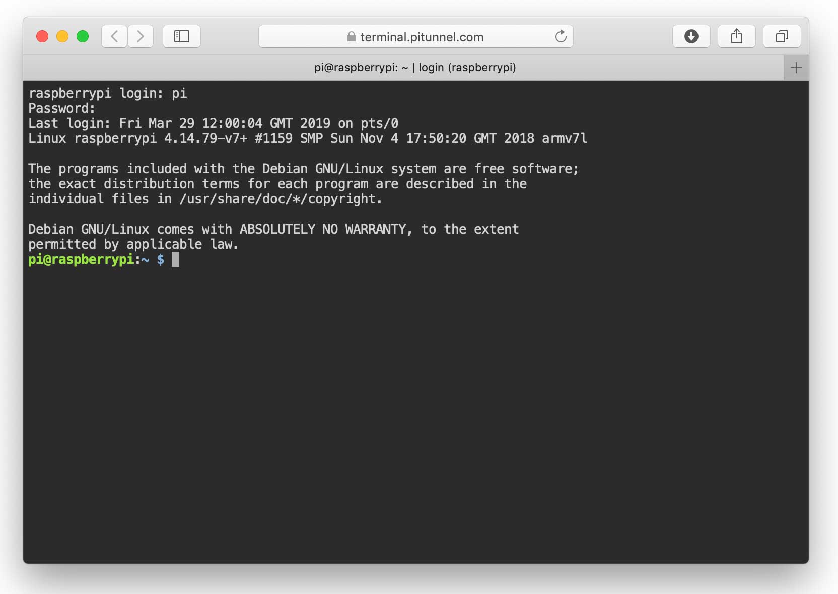 Remote Terminal PiTunnel